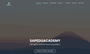 Sapeduacademy.com thumbnail