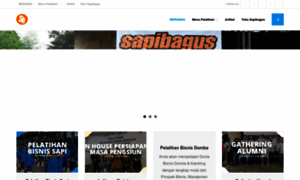 Sapibagus.com thumbnail