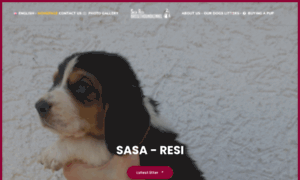 Sasa-resi-bassethoundkennel.eu thumbnail