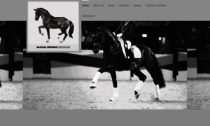 Sascha-boehnke-dressage.com thumbnail