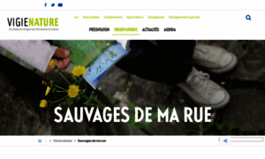 Sauvagesdemarue.mnhn.fr thumbnail