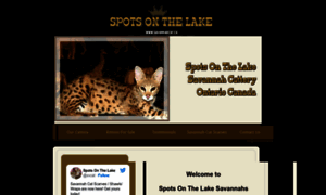 Savannahcat.ca thumbnail