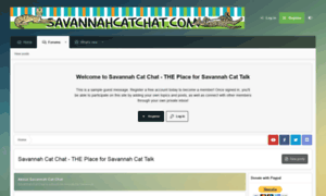 Savannahcatchat.com thumbnail