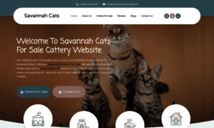 Savannahcatsforsale.com thumbnail