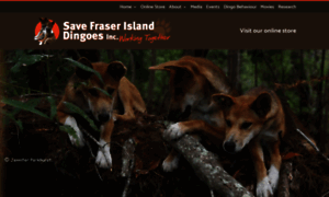 Savefraserislanddingoes.com thumbnail