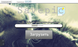 Savepic.eu thumbnail
