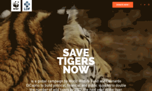 Savetigersnow.org thumbnail