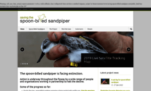 Saving-spoon-billed-sandpiper.com thumbnail