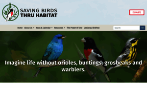 Savingbirds.org thumbnail