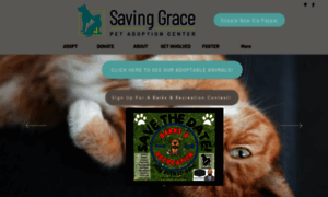 Savinggrace.info thumbnail