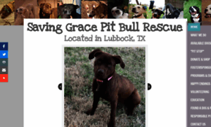 Savinggracepitbullrescue.org thumbnail