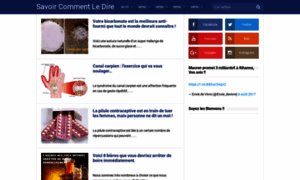 Savoir-comment-le-dire.blogspot.fr thumbnail