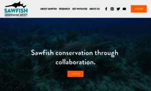 Sawfishconservationsociety.org thumbnail