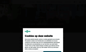 Saxionnext.nl thumbnail