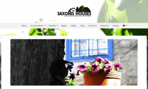 Saxonis-papigo.gr thumbnail