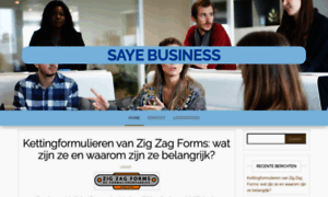 Sayebusiness.nl thumbnail