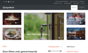 Sayswho.nl thumbnail