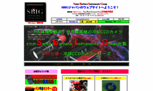 Sbig-japan.com thumbnail