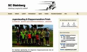 Sc-steinberg-langlauf.de thumbnail