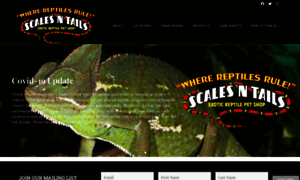 Scalesntails.com thumbnail