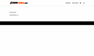 Scalingworks.com thumbnail
