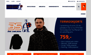 Scansafe.dk thumbnail