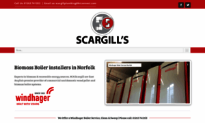 Scargillplumbing.co.uk thumbnail