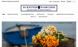 Scentednarcissi.co.uk thumbnail
