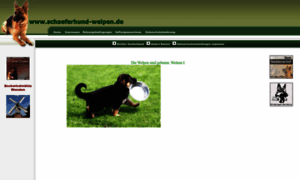 Schaeferhund-welpen.de thumbnail