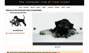 Schnauzerclub.co.uk thumbnail