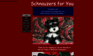 Schnauzersforyou.net thumbnail