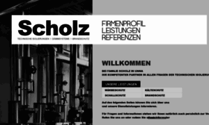 Scholz-daemmtechnik.de thumbnail