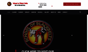 Schoolofblackbelts.com thumbnail