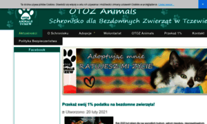 Schroniskotczew.pl thumbnail