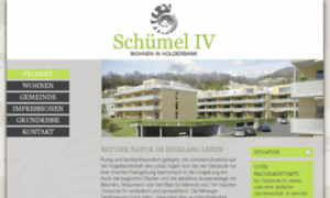 Schuemel.ch thumbnail