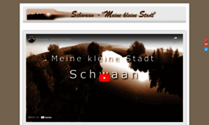 Schwaan.info thumbnail