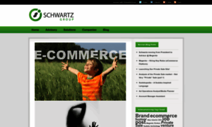 Schwartzgroup.com thumbnail