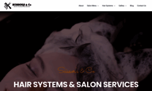 Scissorshairsystem.com thumbnail