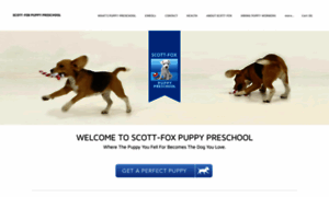 Scott-foxpuppypreschool.com thumbnail