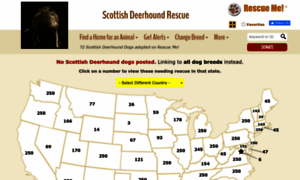 Scottishdeerhound.rescueme.org thumbnail