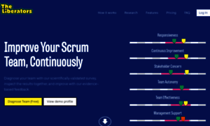 Scrumteamsurvey.org thumbnail