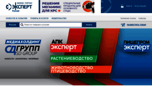 Sdexpert.ru thumbnail