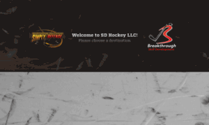 Sdhockeyllc.worldsecuresystems.com thumbnail