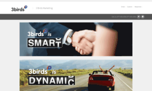 Sdr.3birdsmarketing.com thumbnail