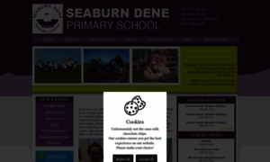 Seaburndeneprimary.co.uk thumbnail