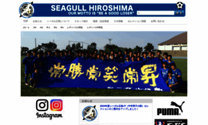 Seagull-soccer.com thumbnail