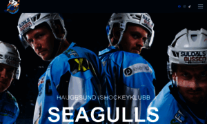 Seagulls.no thumbnail