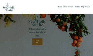 Seahollystudio.com thumbnail