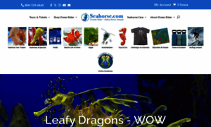 Seahorse.com thumbnail