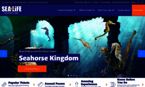 Sealifesunshinecoast.com.au thumbnail